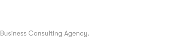 NUMERIX CONSULTING